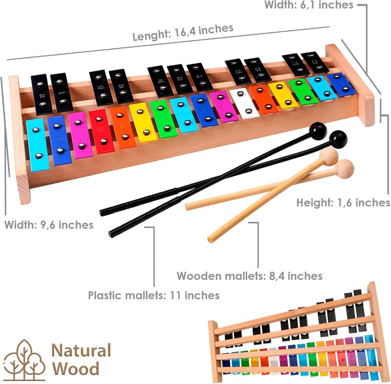 MINIARTIS Glockenspiel Xylophone | Full Size Glockenspiel Xylophone 27 Note Colorful Metal Keys for Adults & Kids | Percussion Musical Instrument Includes 2 Wooden Beaters, Songbook and Carry Case - Image 4